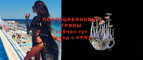 стафф Ростов