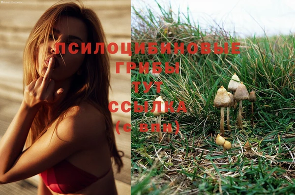 тгк Алзамай