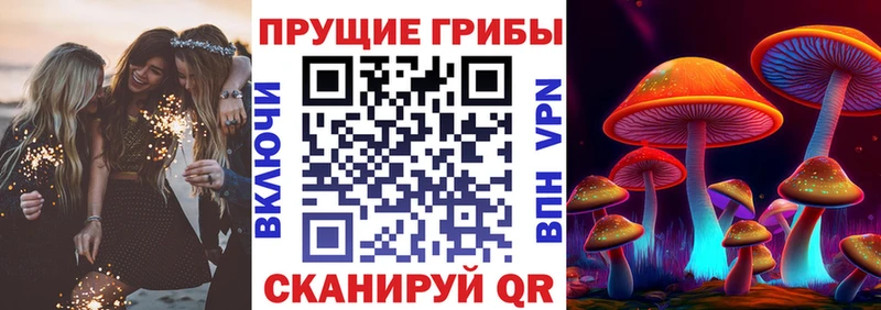 Псилоцибиновые грибы Magic Shrooms  Канск 