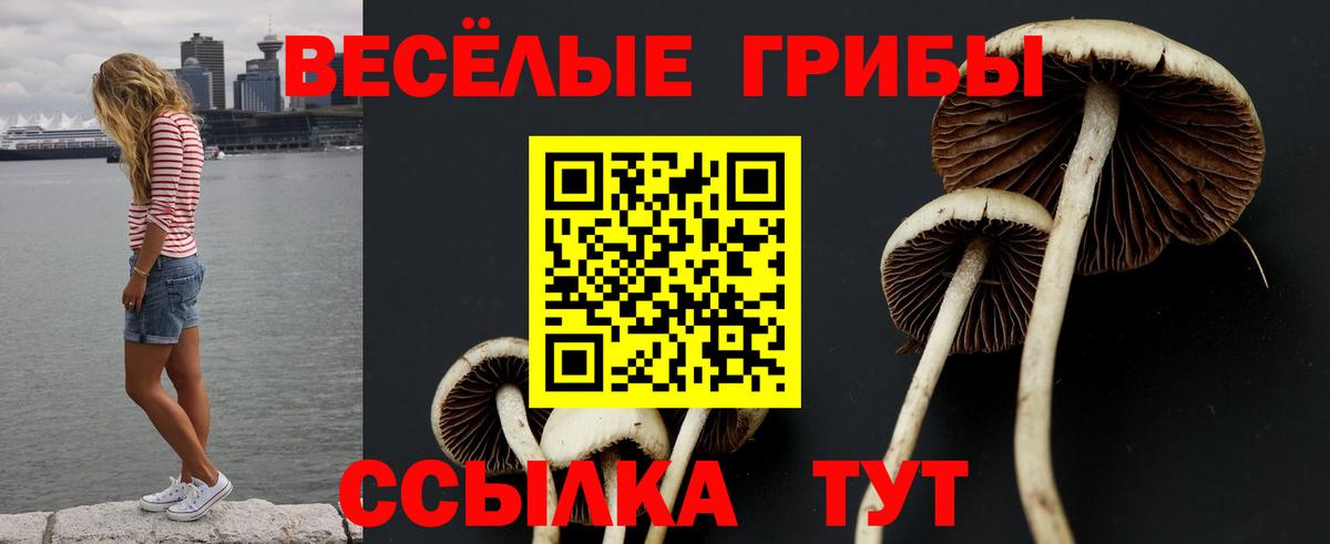 Псилоцибиновые грибы MAGIC MUSHROOMS  Вход с VPN  Канск 