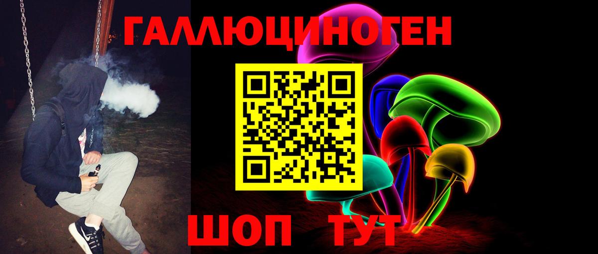 Галлюциногенные грибы Psilocybe Канск