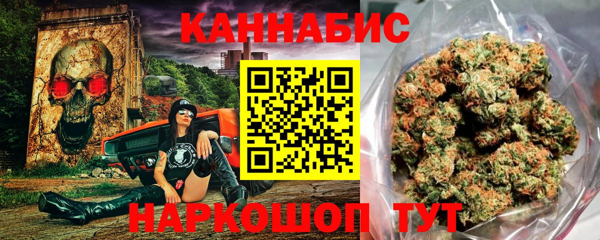 Каннабис план  Вход с VPN  Конопля сатива  Канск 